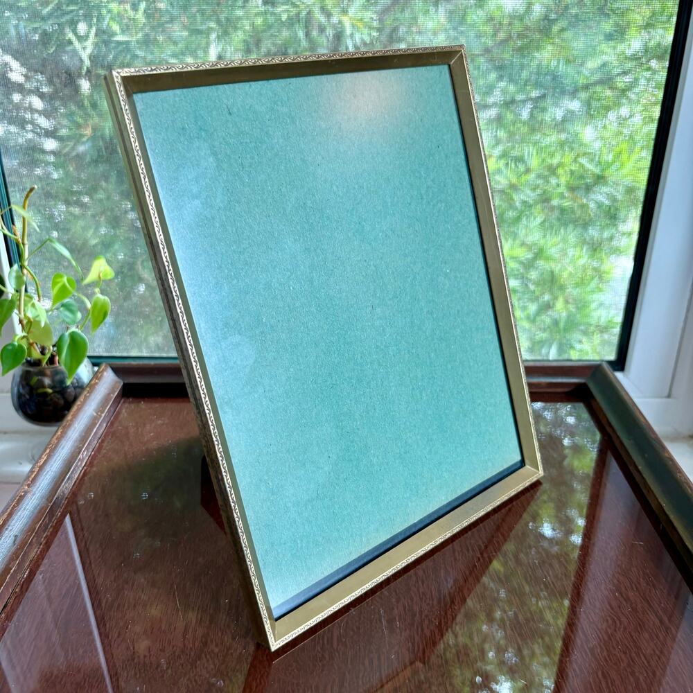 Vintage Gold Tone 8x10 Frame Tinted Glass Velvet Back
